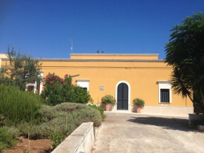 Summertime Monopoli